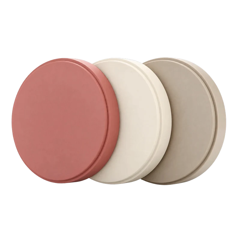 Lodden PEEK Discs