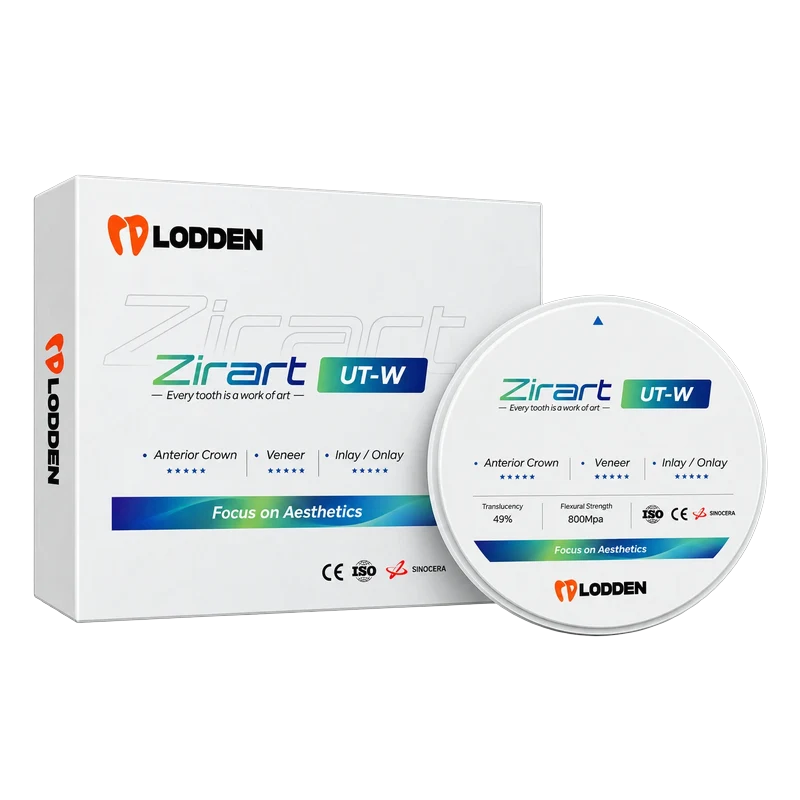 Lodden UT Series Zirconia Discs